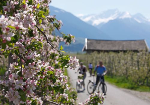 Saisonabschluss-Radeln in Südtirol