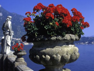 Lago Maggiore zum Genießen