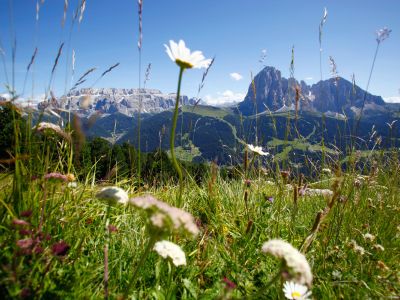 Meraner Land – Dolomiten