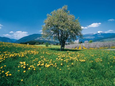 Ostern in Südtirol