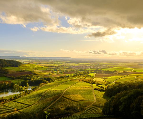 Weinanbaugebiet Franken