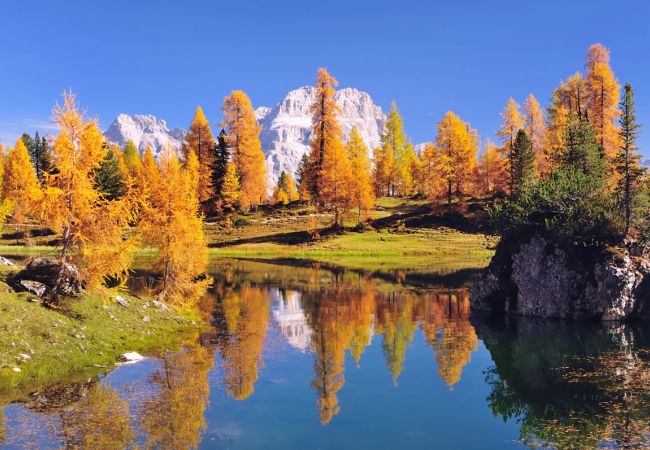 Goldener Herbst in Südtirol