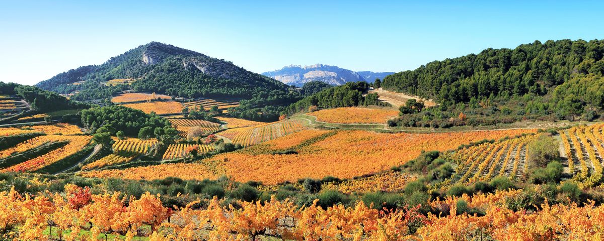 Herbstliche Provence