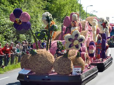 Frühling in Holland