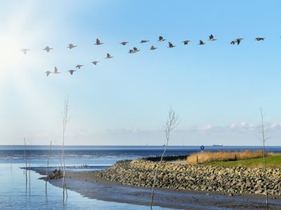 Inseln der Nordsee