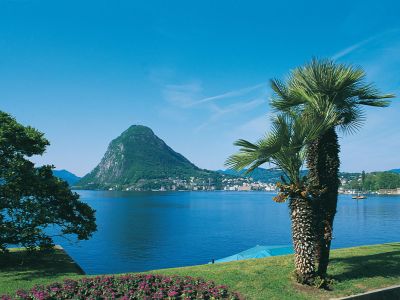 Kamelienblüte am Lago Maggiore