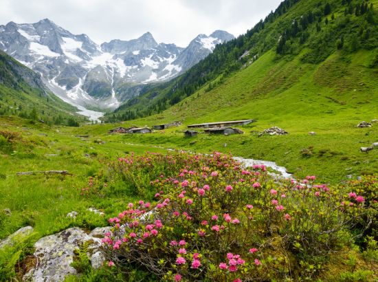 Sommerurlaub im Zillertal