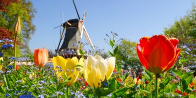 HOLLAND IM FRÜHLING