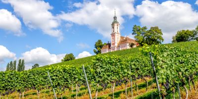 BODENSEE & SCHWARZWALD