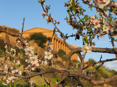 SIZILIEN IM FRÜHLING