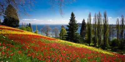 BODENSEE & SCHWARZWALD