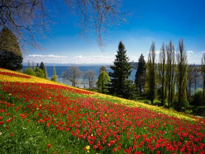 BODENSEE & SCHWARZWALD