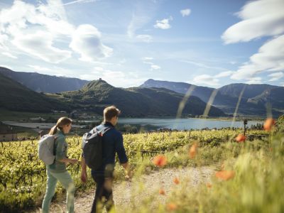 SÜDTIROL & TRENTINO