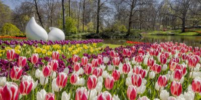 HOLLAND IM FRÜHLING