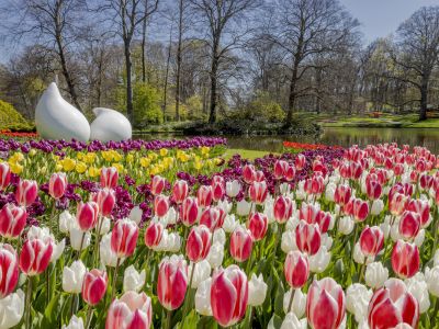 HOLLAND IM FRÜHLING