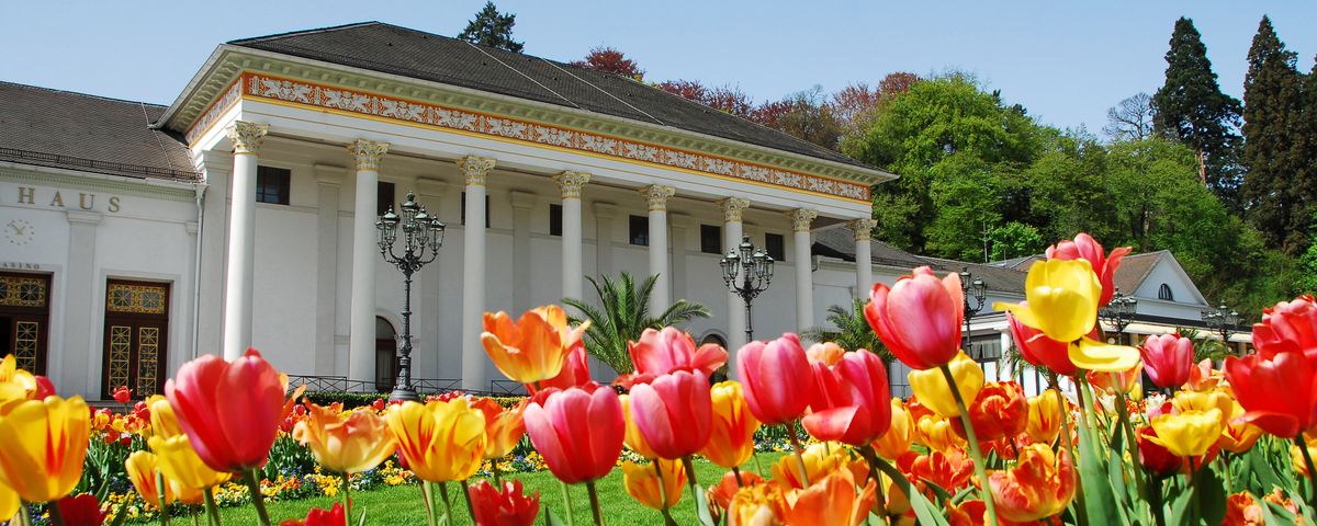 Schwarzwald & Elsass, Domstadt Speyer & Deutsche Weinstraße