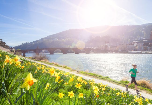 Romantisches Heidelberg und Pfälzer Mandelblüte