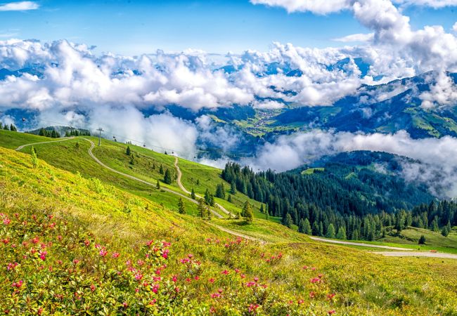 Bauernsommer in Tirol