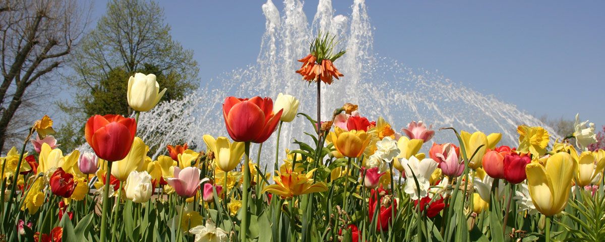 Frühling im egapark  Erfurt