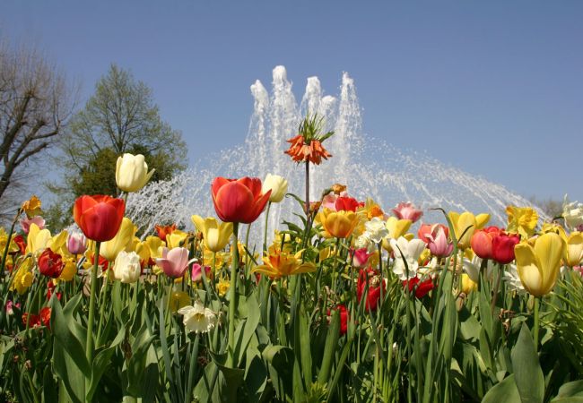 Frühling im egapark  Erfurt