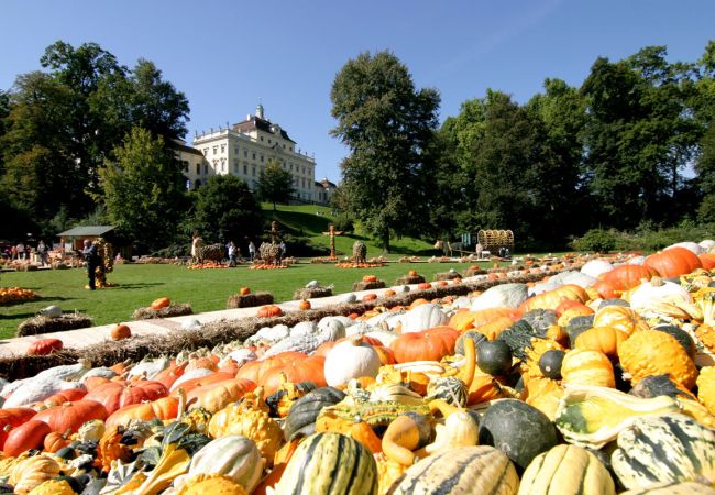 Kürbisausstellung im Blühenden Barock in Ludwigsburg