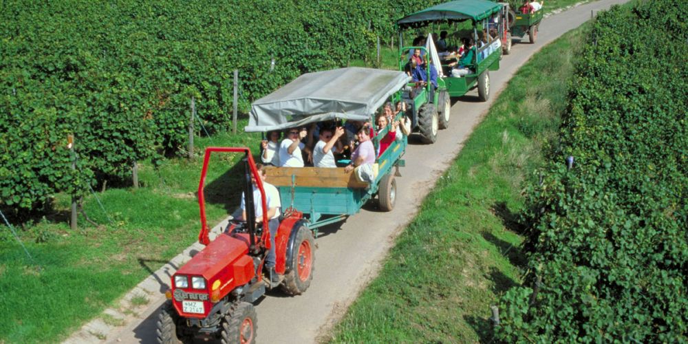Deutsche Weine - gute Stimmung bei der Traktorfahrt in den Weinbergen
