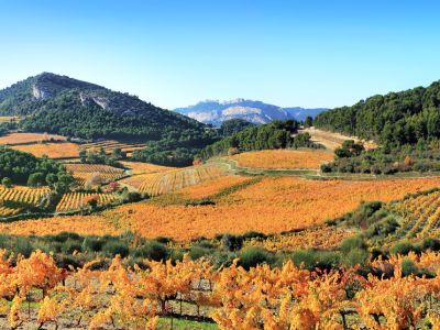 Herbstliche Provence