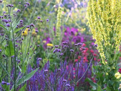 Englische Gärten - Blühende Paradiese