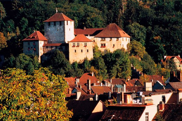 Feldkirch mit Schattenburg