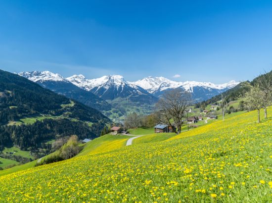 Frühling in der Schweiz