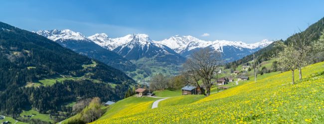 Frühling in der Schweiz