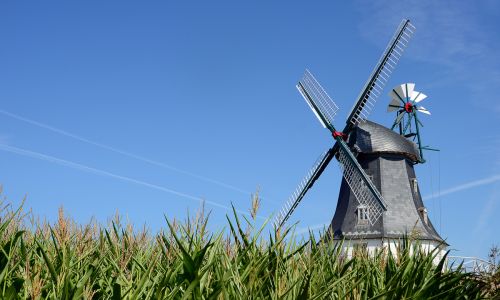 Windmühle Wyk auf Föhr