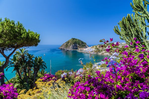 Blühende Insel Ischia