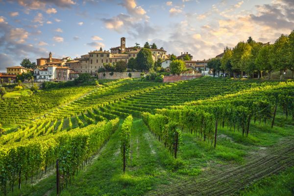 Dorf Neive und Weinberge in Piemont