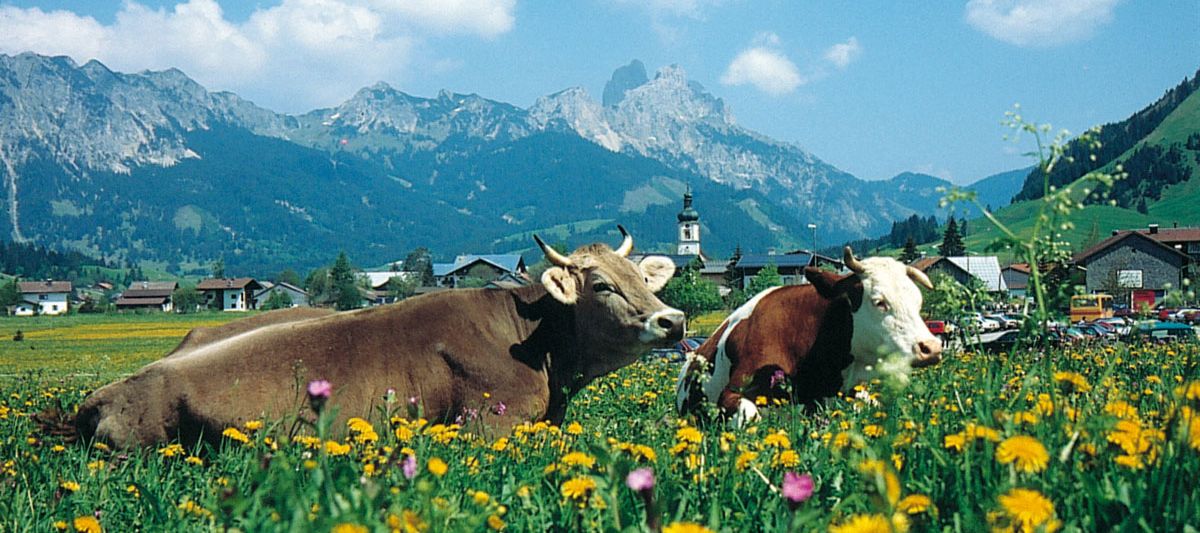 Radeln in Tirol