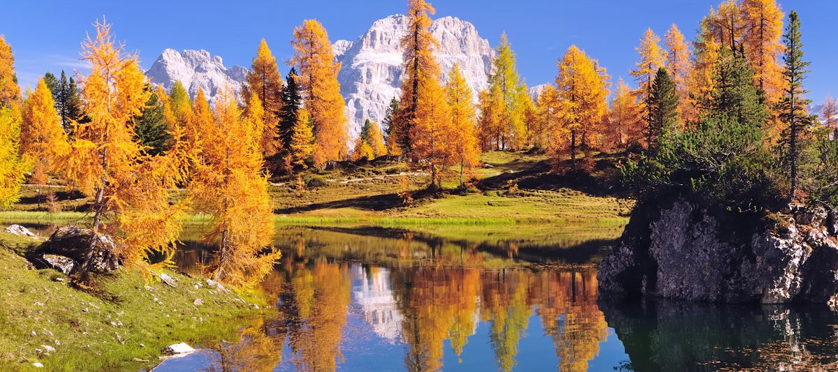 Goldener Herbst in Südtirol
