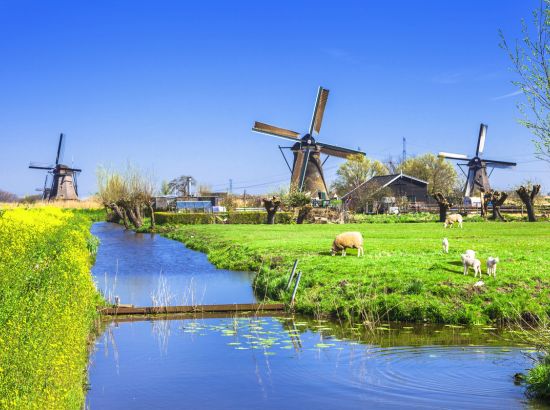 Amsterdam, Ijsselmeer, Windmühlen und Käse
