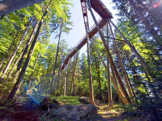 Hüttengaudi und Naturerlebnis im Bayerischen Wald
