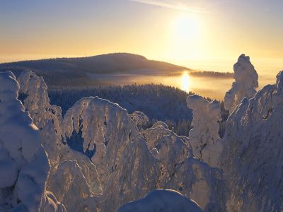 Wintererlebnis in Lappland