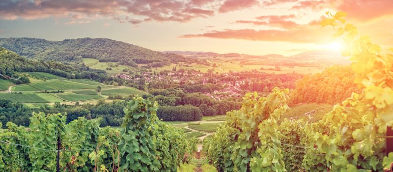 Burgund - Romantik in traumhaft schöner Landschaft