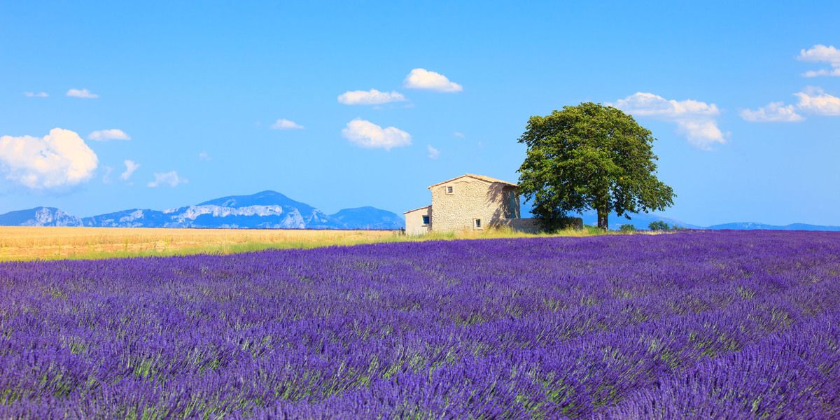 Provence und Camargue