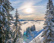 Winterlandschaften im Allgäu