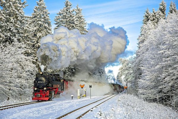 Harzer Schmalspurbahn unterwegs 