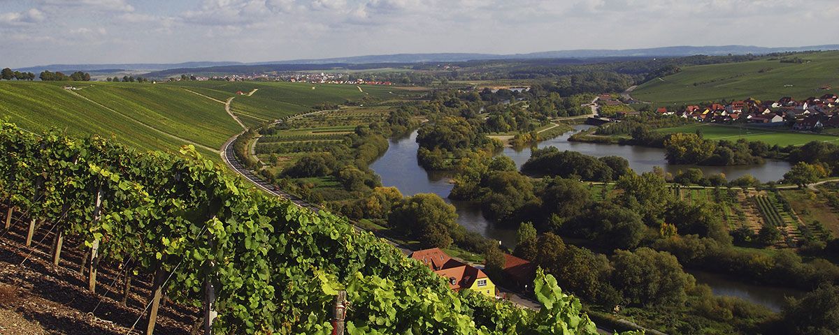 Fränkisches Weinland, Volkach & Mainschleifenschifffahrt