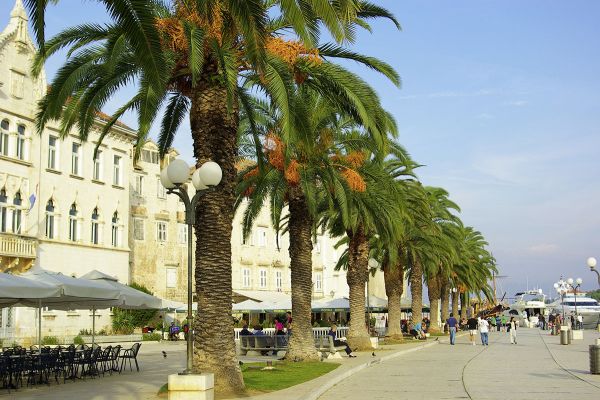 Palmenpromenade in Trogir