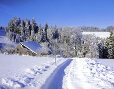 Winterstimmung im Schwarzwald
