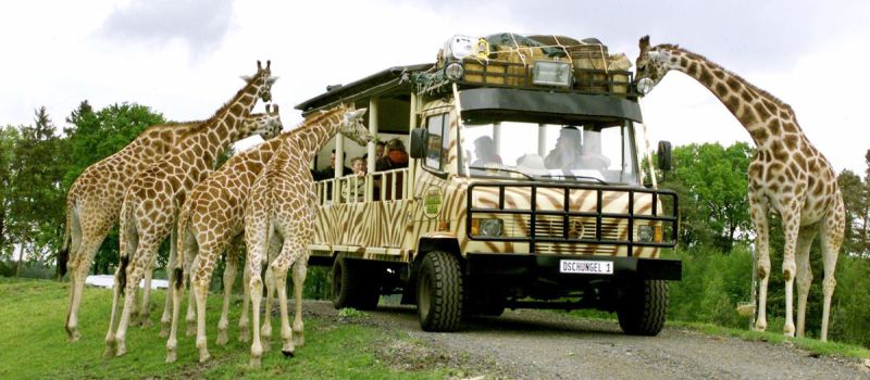 Serengeti Park - Europas größter Safaripark