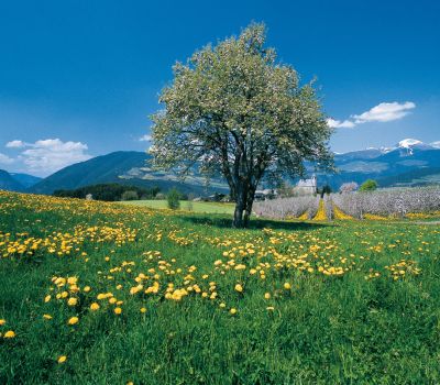Ostern in Südtirol