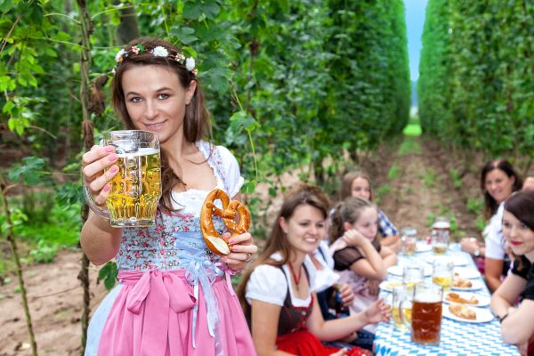 Frauen im Dirndl mit Bier und Brezel zwischen Hopfen