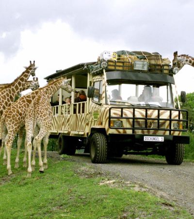 Serengeti Park - Europas größter Safaripark -abgesagt-